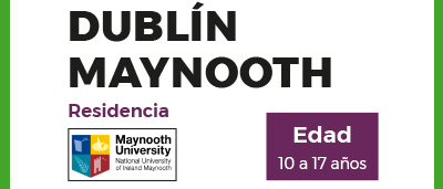 dublinmaynooth-icono-verano